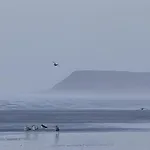 Quirky Bohemian District Miners Cottage- 6 Bd 度假居