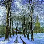 度假居 Quirky Bohemian District Miners Cottage- 6 Bd