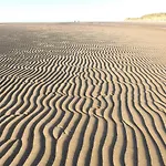 Quirky Bohemian District Miners Cottage- 6 Bd *