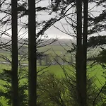 度假居 Quirky Bohemian District Miners Cottage- 6 Bd