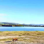 度假居 Quirky Bohemian District Miners Cottage- 6 Bd *