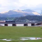 Quirky Bohemian District Miners Cottage- 6 Bd *