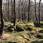 Quirky Bohemian District Miners Cottage- 6 Bd 度假居