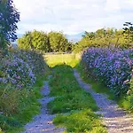 度假居 Quirky Bohemian District Miners Cottage- 6 Bd