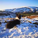 Quirky Bohemian District Miners Cottage- 6 Bd 度假居 *