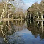 度假居 Quirky Bohemian District Miners Cottage- 6 Bd 米勒姆