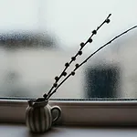 Quirky Bohemian District Miners Cottage- 6 Bd 度假居 米勒姆