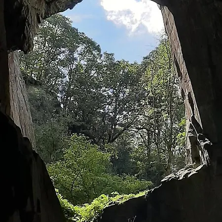 Quirky Bohemian District Miners Cottage- 6 Bd Casa vacanze *