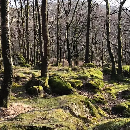 Quirky Bohemian District Miners Cottage- 6 Bd Millom