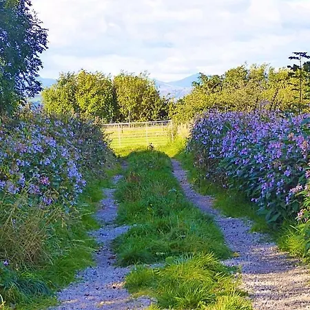 Quirky Bohemian District Miners Cottage- 6 Bd Casa vacanze *