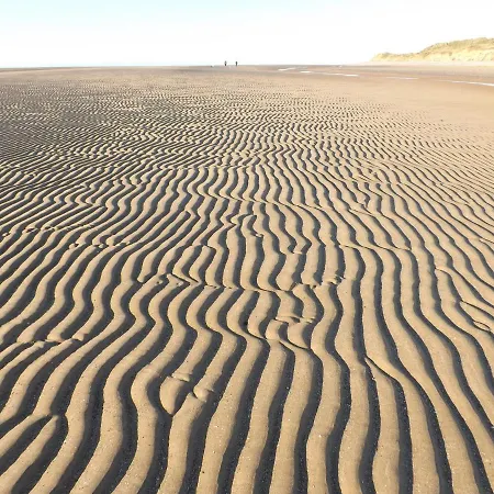 Quirky Bohemian District Miners Cottage- 6 Bd *