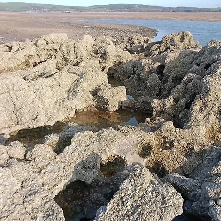 Casa vacanze Quirky Bohemian District Miners Cottage- 6 Bd Millom