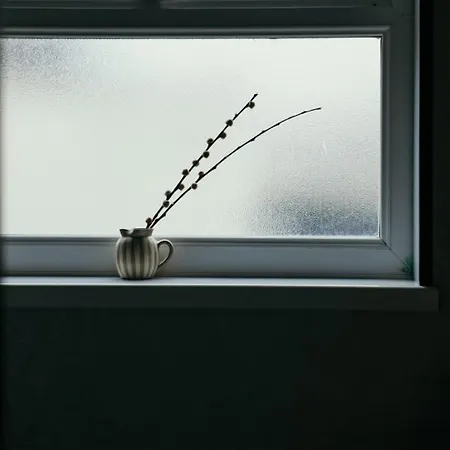 度假居 Quirky Bohemian District Miners Cottage- 6 Bd *